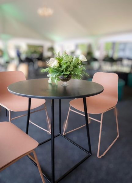 Scallop Velvet Chair (Variant 7)